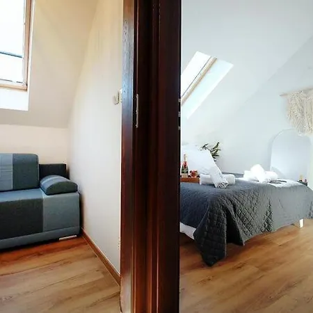 Comfortable Homes With Terraces, *